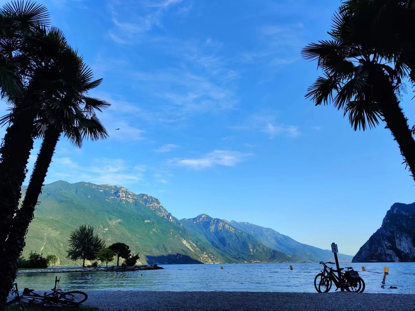 Bicycles and swimmers beside a mountain lake framed by palms