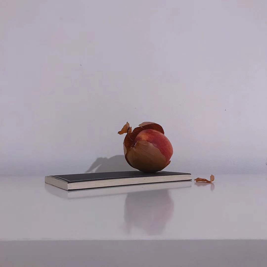 An onion on stacked paper casting a long shadow
