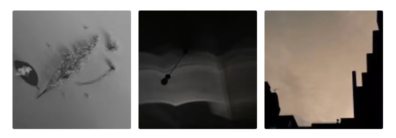 Complete three-photo collection of stems, shadows and a geometric skyline